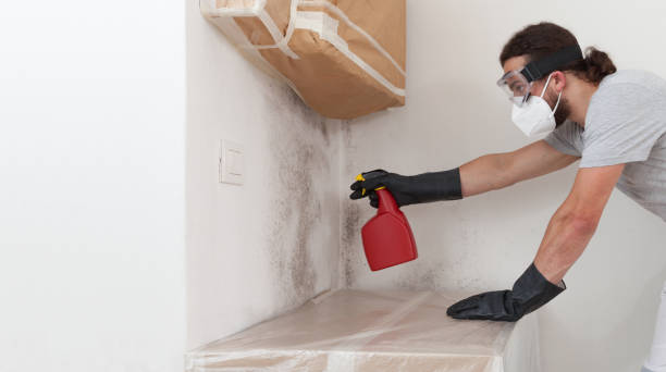 Professional Mold Remediation technician working in Old Bethpage, NY